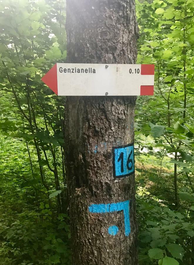 Ferienwohnung Genzianella Molveno-Andalo Exterior foto
